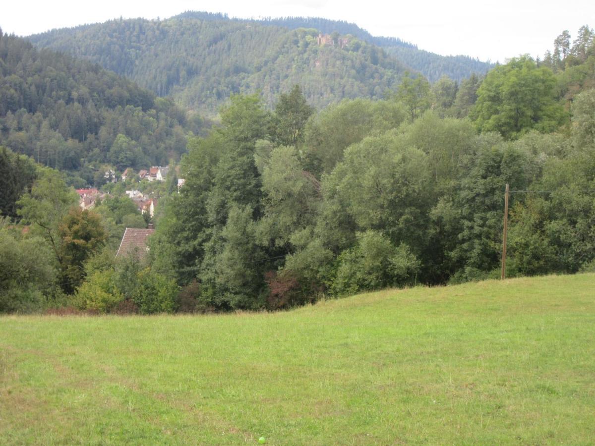 Ferienwohnungen Schwabenhof Schramberg Exterior foto